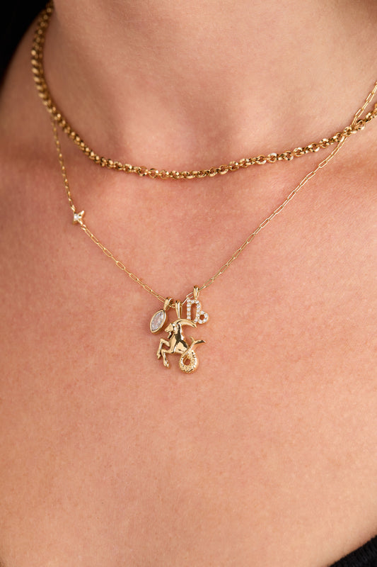 Capricorn Zodiac Charm Cluster Necklace