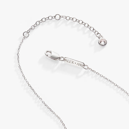 January Birthstone Precious Pendant Necklace